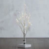 Battery Operated White Birch Tree 1.5 Feet - 16 Warm White LED'S Timer 2 Battery Operated White Birch Tree 1.5 Feet - 16 Warm White LED'S Timer -Battery Operated Candles Shop 3800946 birch tree