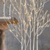4 Foot Lighted Birch Grove - 175 Lights With Rounded Base -Battery Operated Candles Shop 4000925