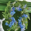 Floral And Fern Mini Wreath-Candle Ring 2 Floral And Fern Mini Wreath-Candle Ring -Battery Operated Candles Shop 4202202
