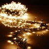 Battery Operated Cluster Lights 15 Foot Garland - 120 Warm White LED's On Green Wire With Remote RAZ -Battery Operated Candles Shop G3737070 battery operated cluster lights from raz
