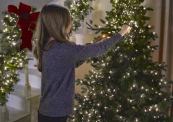 44 Foot Christmas Cluster Lights With 1300 Multi Color LED Garland - Green Wire - Remote Control RAZ 9 44 Foot Christmas Cluster Lights With 1300 Multi Color LED Garland - Green Wire - Remote Control RAZ -Battery Operated Candles Shop decorating with cluster lights 3