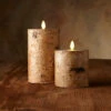 Luminara Embedded With Birch 4 X 7 Inch Flameless Pillar -Battery Operated Candles Shop embedded with birch 1