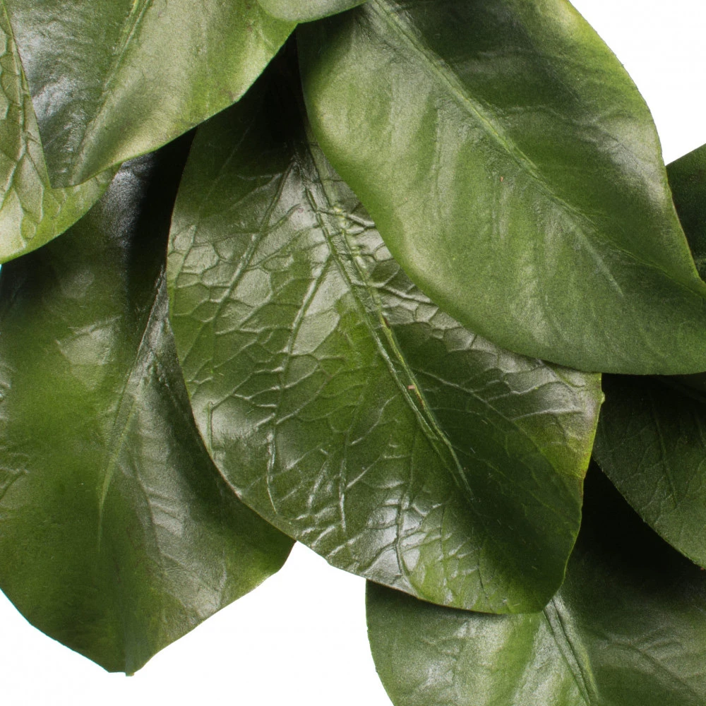 Magnolia Wreath - 16 Inch Candle Ring 4 Magnolia Wreath - 16 Inch Candle Ring - Image 2