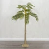 5 Foot Electric Lighted Palm Tree - 89 Warm White Micro Lights With Outdoor Adaptor -Battery Operated Candles Shop palm 5 foot