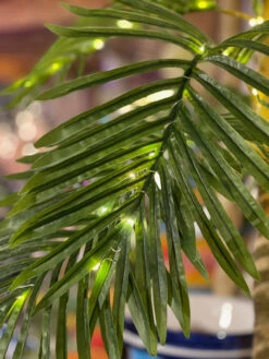 4 Foot Electric Lighted Palm Tree - 55 Warm White Micro Lights With Outdoor Adaptor -Battery Operated Candles Shop palm detail 1