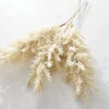 34 Inch Pampas Grass Bundle Of 3 -Battery Operated Candles Shop pampas glam 1